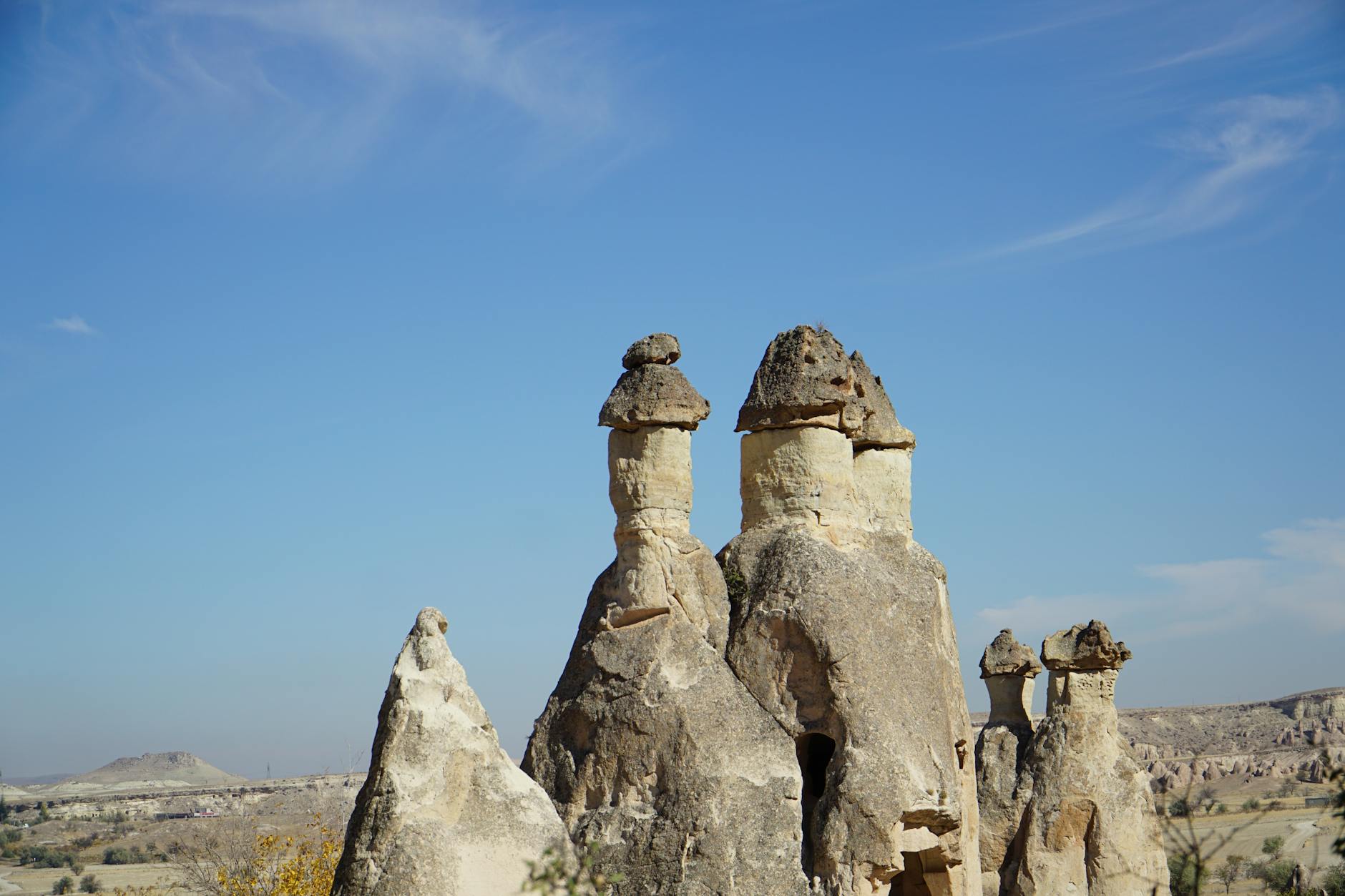 Tur Rehberliği